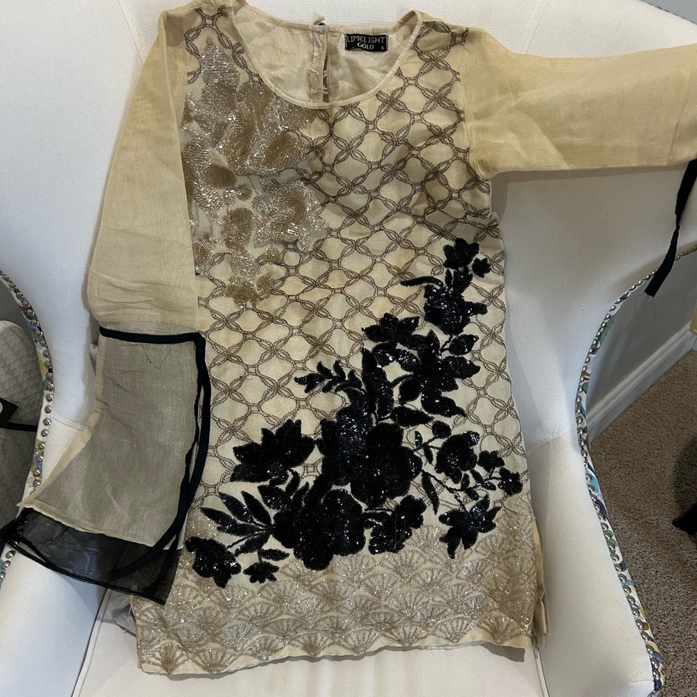 Elegant Beige and Black Embroidered Dress